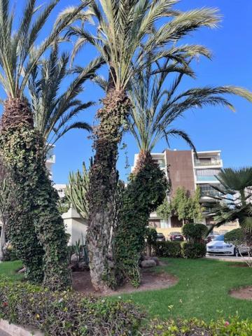 Appartement De Haut Standing En Residence Agadir Exterior photo